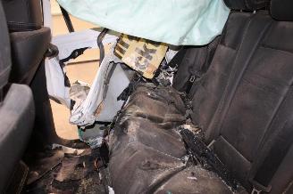 Mercedes GLE 250 picture 13