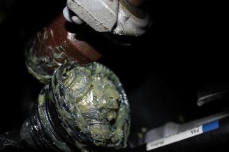 Peugeot 308  picture 18