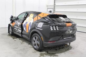 Ford Mustang Mach-e  picture 4