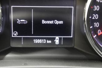 Opel Insignia  picture 12