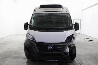 Fiat Ducato  picture 5