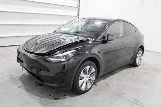 damaged passenger cars Tesla Model Y  2024/2