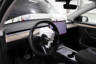 Tesla Model Y  picture 10