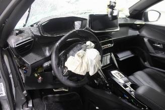 Peugeot 2008  picture 10