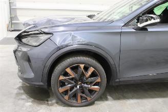 Cupra Formentor  picture 5