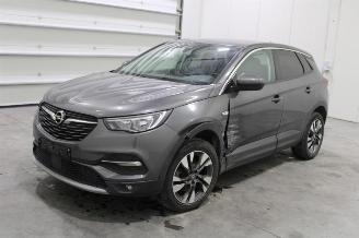 Opel Grandland X 2019/7