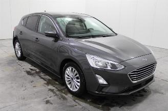 Ford Focus  picture 2