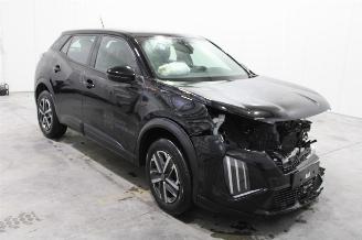 Peugeot 2008  picture 2