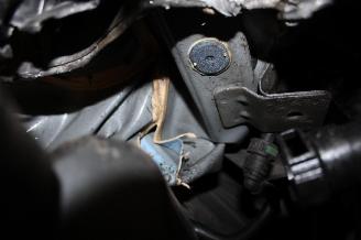 Renault Clio  picture 20