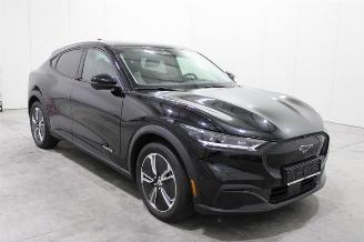 Ford Mustang Mach-e  picture 2