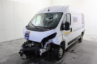 Voiture accidenté Opel Movano  2022/12