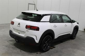 Citroën C4 cactus  picture 3