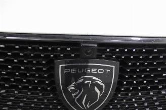 Peugeot 308  picture 25