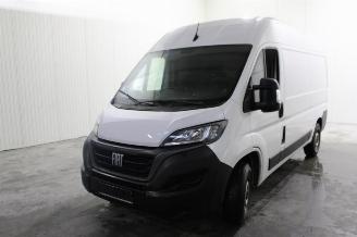Sloopauto Fiat Ducato  2023/6