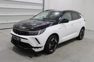  Opel Grandland X 2023/4