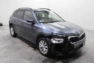 Skoda Kamiq  picture 2