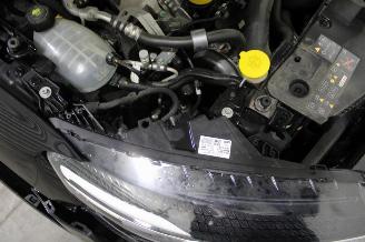 Renault Arkana  picture 20