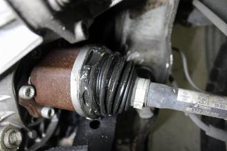 Volkswagen Golf  picture 19