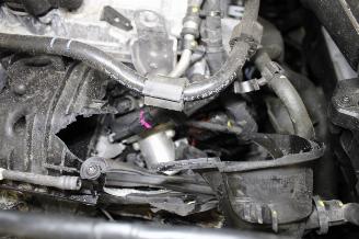 Volkswagen Golf  picture 23