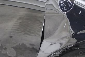 Peugeot 3008  picture 8