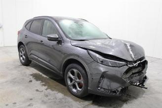 Ford Kuga  picture 2