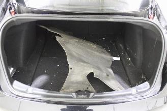 Tesla Model 3  picture 19