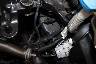 Volkswagen Polo  picture 23