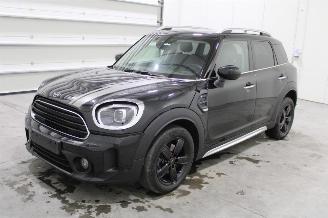 Mini Cooper _COUNTRYMAN picture 1