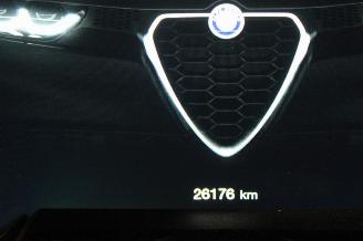 Alfa Romeo Tonale  picture 12