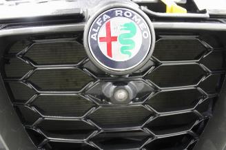Alfa Romeo Tonale  picture 19