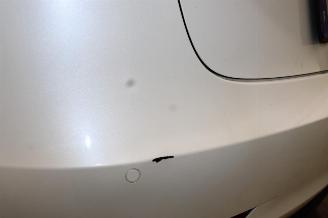 Tesla Model 3  picture 24