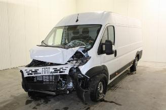 skadebil auto Fiat Ducato  2025/10