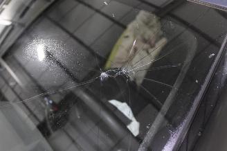 Polestar 2  picture 25