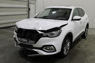 Unfallwagen MG HS  2023/6