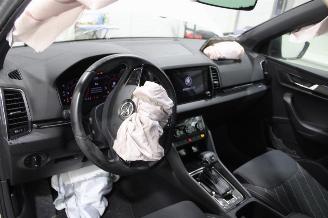 Skoda Karoq  picture 8