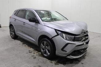 Opel Grandland X picture 2