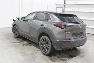 Mazda CX-30  picture 4