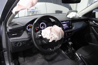 Skoda Kamiq  picture 9