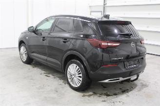 Opel Grandland X picture 4