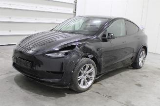 damaged passenger cars Tesla Model Y  2024/8