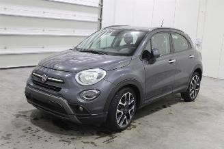 Fiat 500X  picture 1