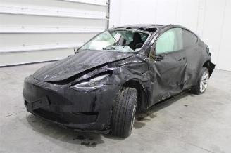 Tesla Model Y  picture 1