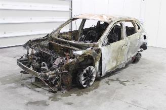 Ford Kuga  picture 1