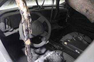 Renault Scenic  picture 9