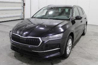 Auto incidentate Skoda Octavia  2024/9