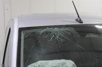 Renault Kangoo  picture 6