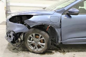 Ford Kuga  picture 5