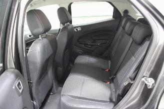 Ford EcoSport  picture 11