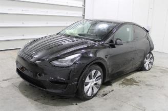 Schadeauto Tesla Model Y  2024/9