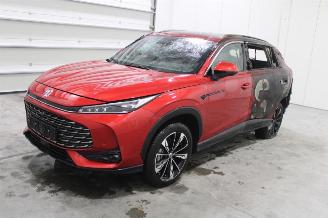 Sloopauto MG HS  2025/9